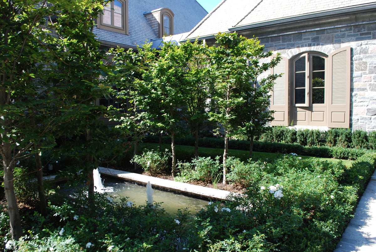 Entry Rose Garden