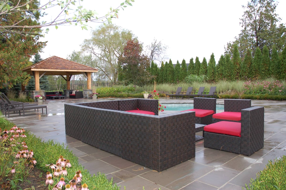 boxwood border and privacy hedge
