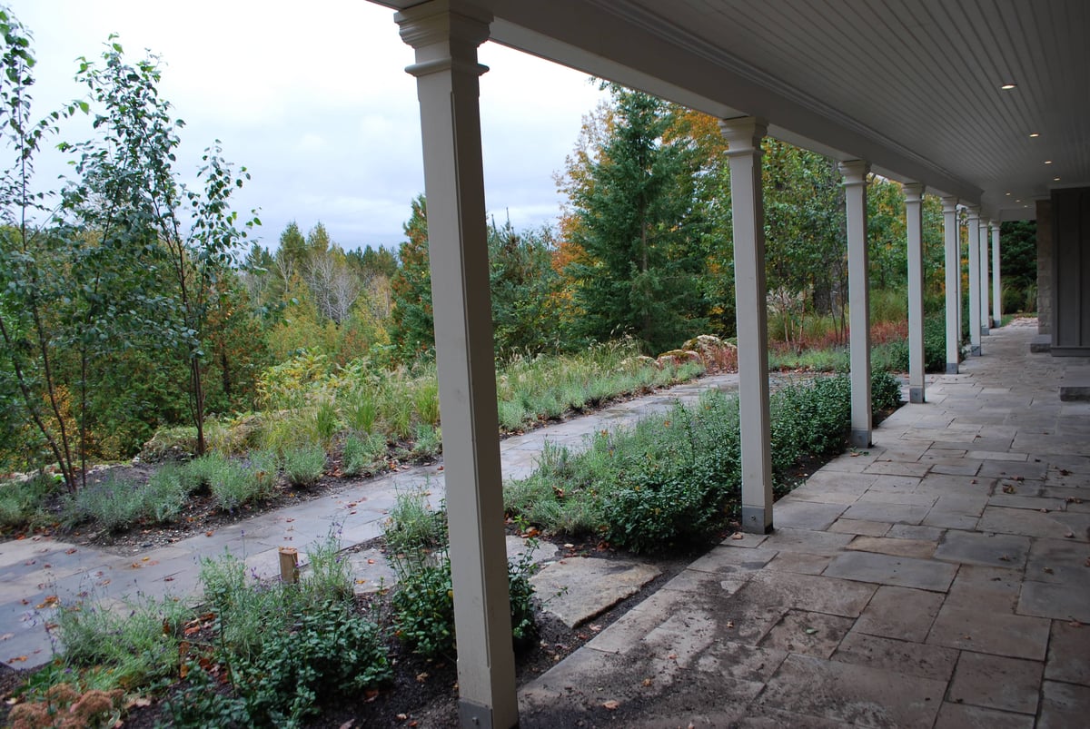 front walkway + planting