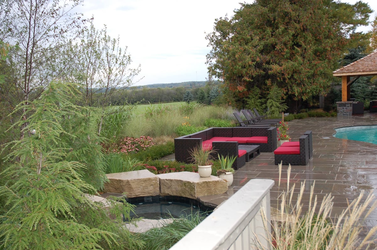 grasses merging with view-1