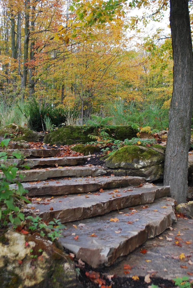 stairs + lg tree planting